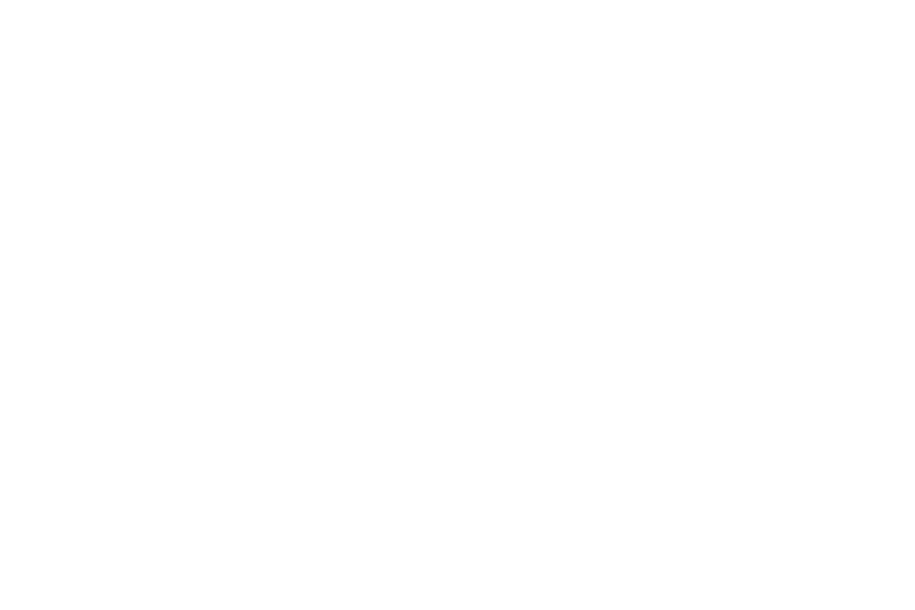 Logo Filippo Angeloni