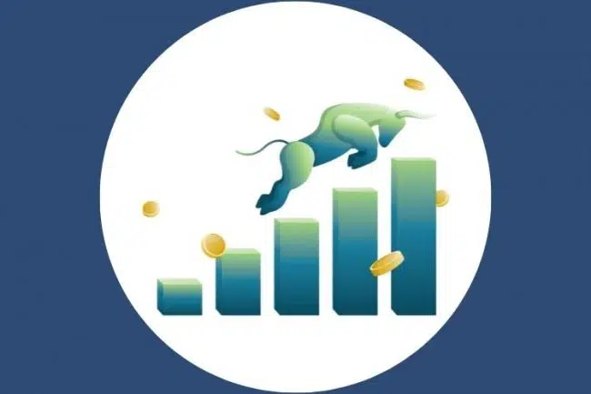 quanto rende di media la borsa